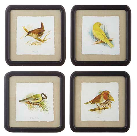 14" Assorted Bird Framed Prints