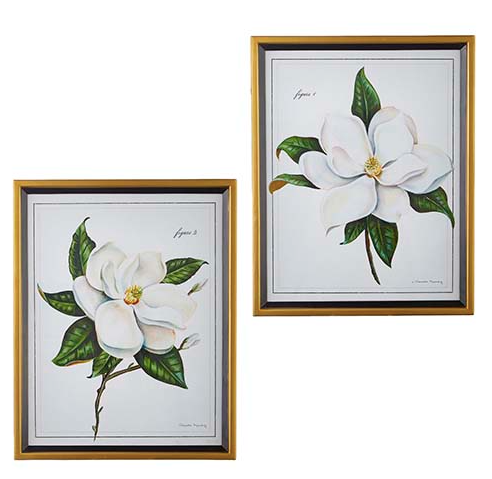 28" Magnolia Framed Print