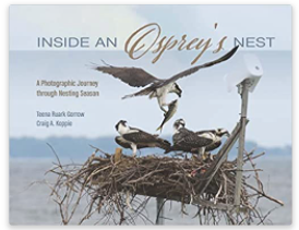 Inside an Osprey's Nest Book