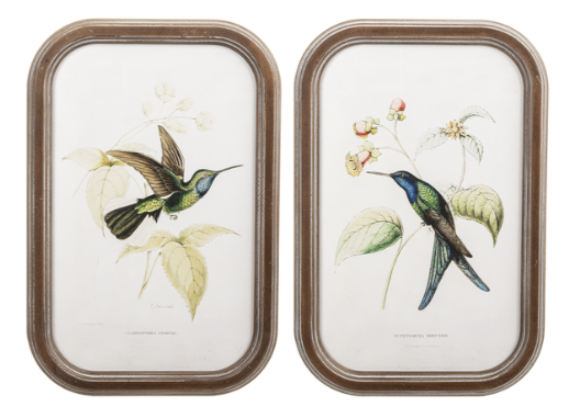 Framed Hummingbird Wall Decor