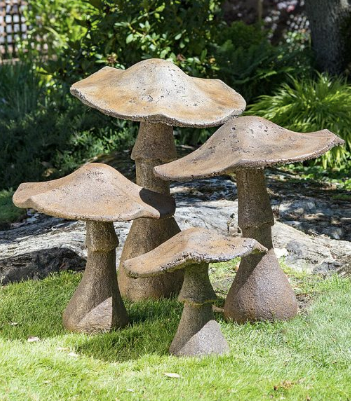 Garden Mushroom