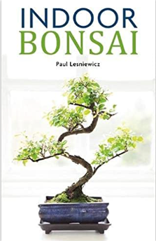 Indoor Bonsai