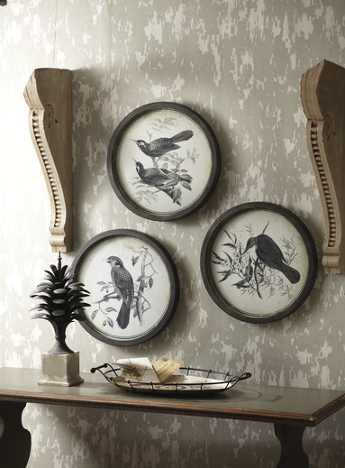 Round Bird Pen & Ink Wall Art with Glass (3 assorted)