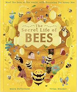 The Secret Life of Bees Book