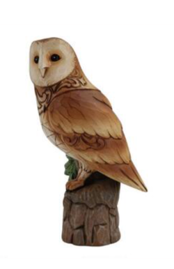 Woodland Wisdom - Barn Owl