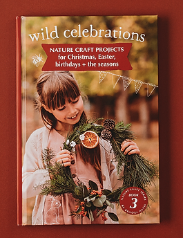 Wild Celebrations Book