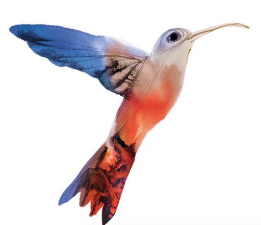 Watercolour Hummingbird Tattoo Pair