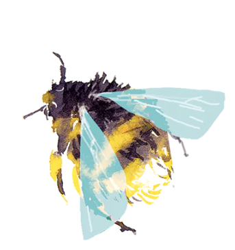 Bumblebee Tattoo Pair