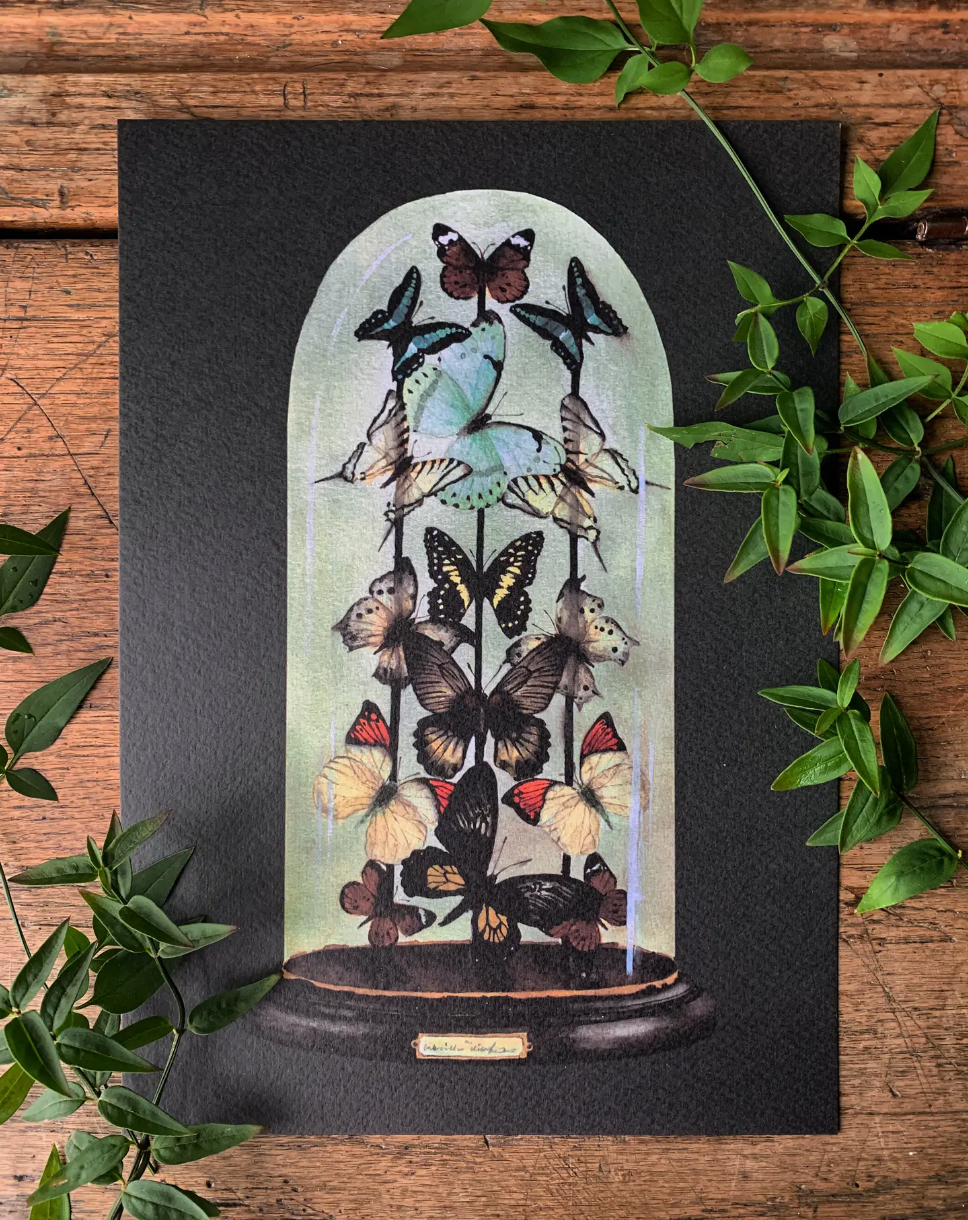 Antique Butterfly Dome Art Print