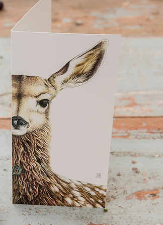 Wild Grey Fox Print Greeting Cards
