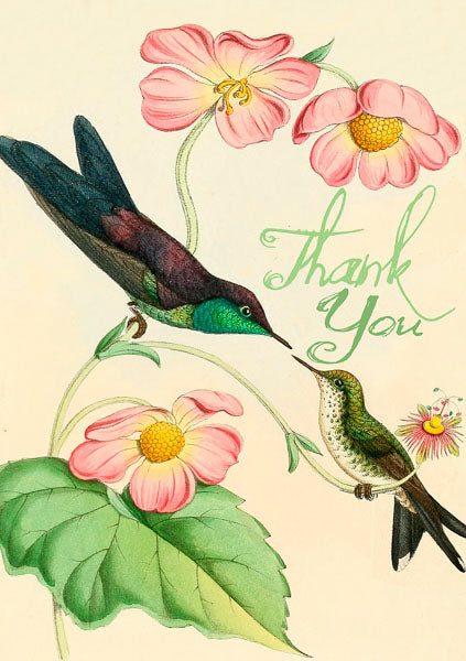 Hummingbirds Thank You Card