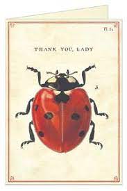 Cavallini Greeting Card- Thank You Lady