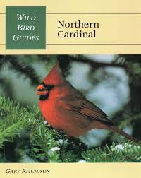 Wild Bird Guides- Northern Cardinal