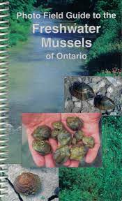 Photo Field Guide to The Freshwater Mussels of Ontario