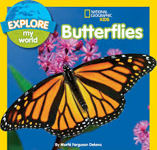National Geographic Kids- Explore My World Butterflies