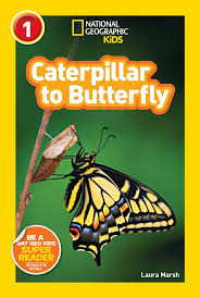 National Geographic Kids- Caterpillar to Butterfly Level 1