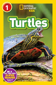 National Geographic Kids- Turtle Level 1