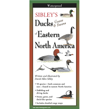 Sibley's Ducks, Geese & Swana of Eastern North America