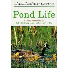 Pond Life: Revised and Updated