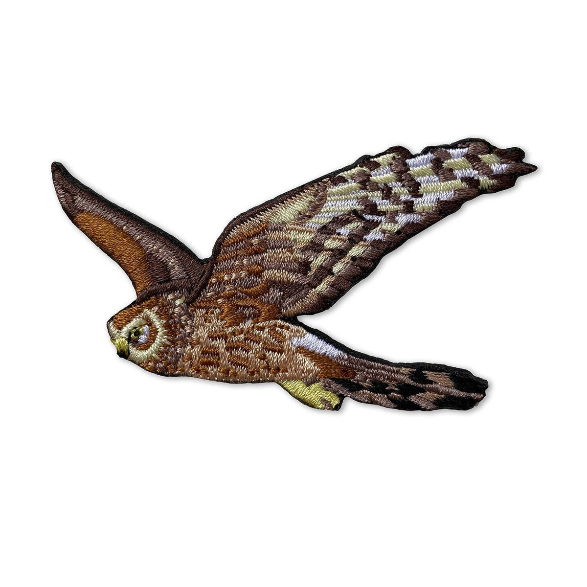 Northern Harrier Patch