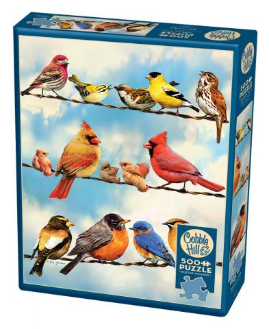 Birds on a Wire Puzzle